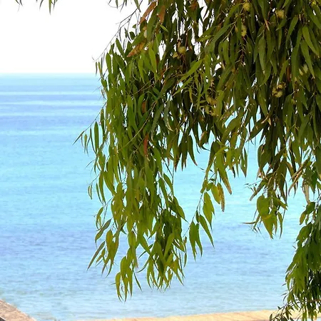 Lungomare Apartment
